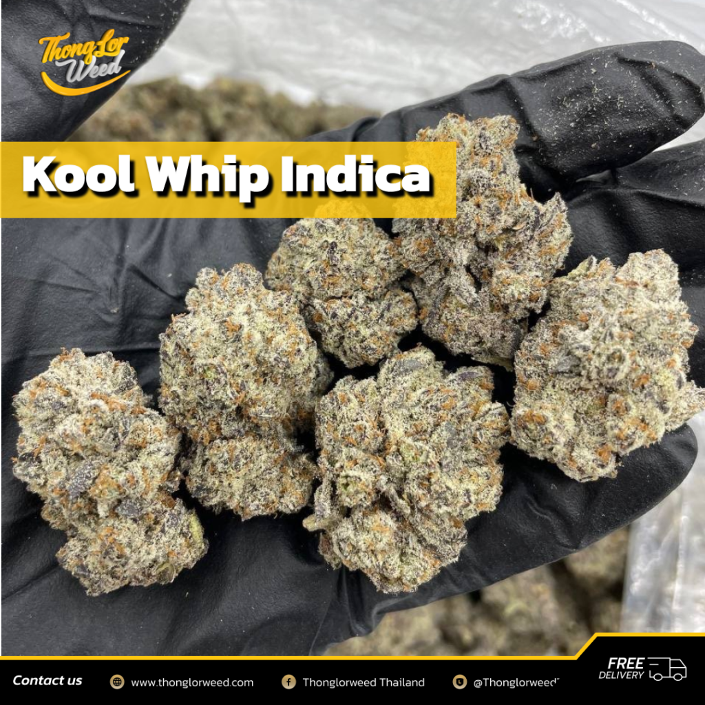 ดอกกัญชา Kool Whip