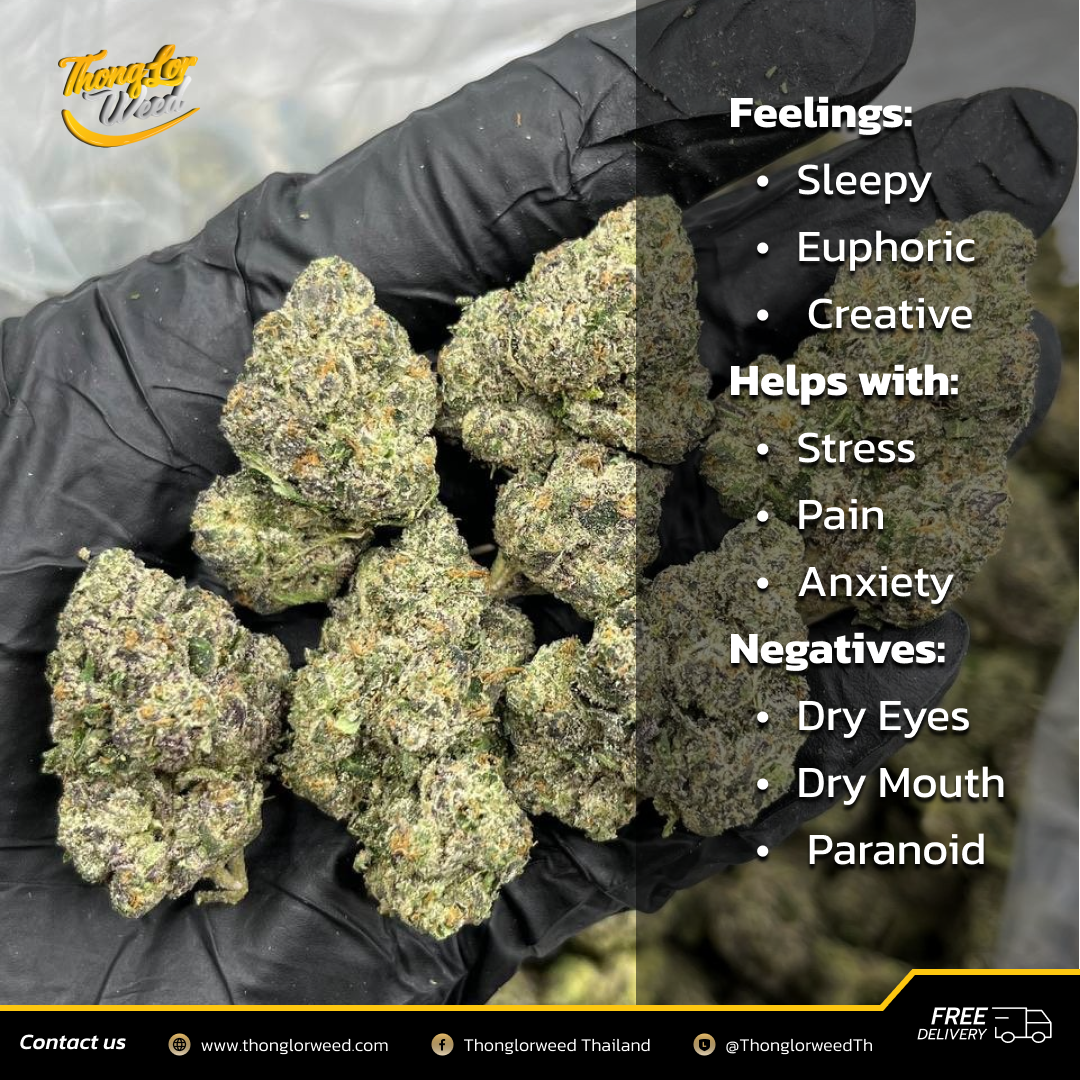 ดอกกัญชา Razz Berry Runtz กลิ่นเบอร์รี่สดชื่น รสชาติเข้มข้น ดอกกัญชา Razz Berry Runtz กลิ่นเบอร์รี่สดชื่น รสชาติเข้มข้น