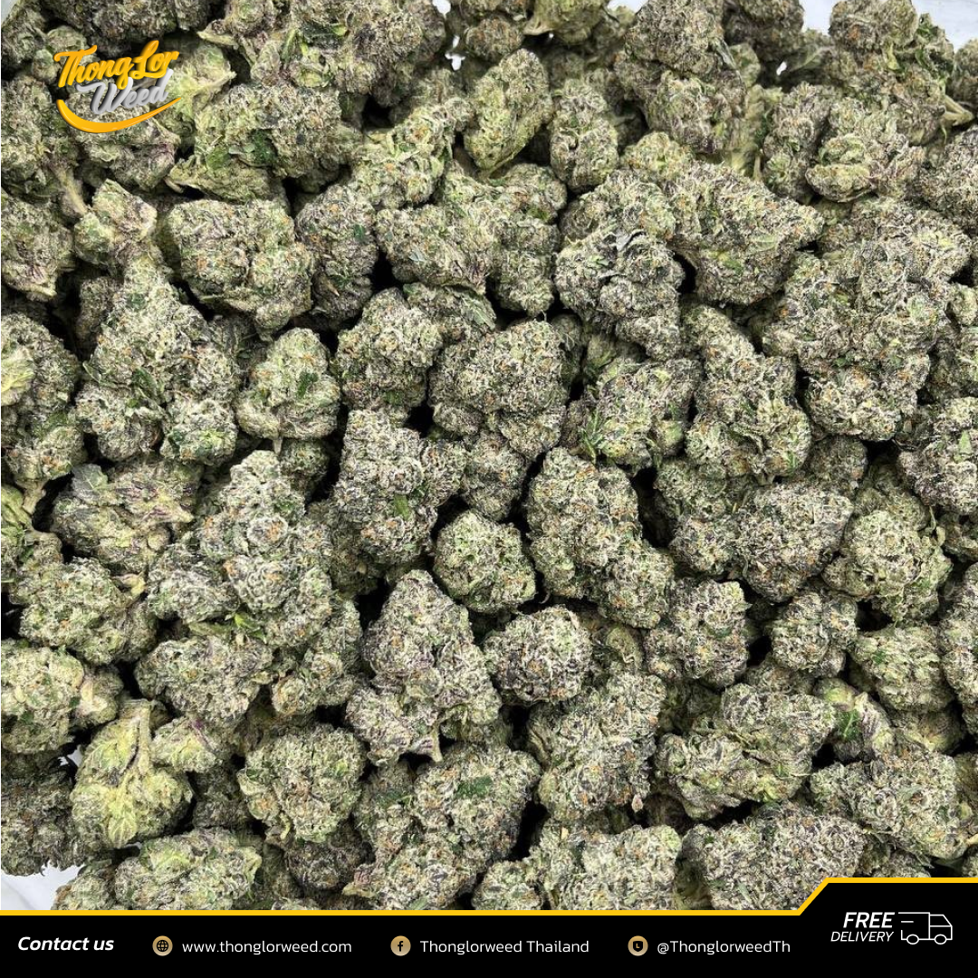 ดอกกัญชา Razz Berry Runtz กลิ่นเบอร์รี่สดชื่น รสชาติเข้มข้น ดอกกัญชา Razz Berry Runtz กลิ่นเบอร์รี่สดชื่น รสชาติเข้มข้น