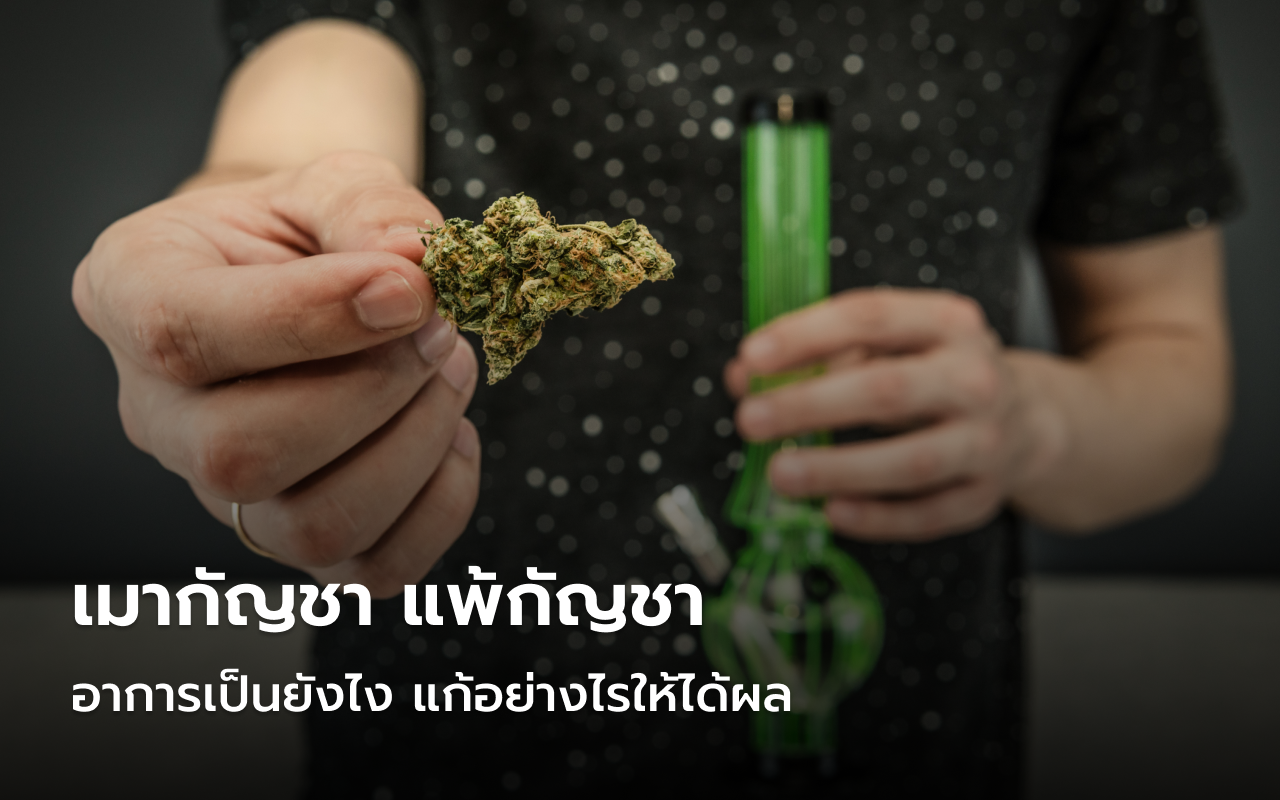 เมากัญชา แพ้กัญชา