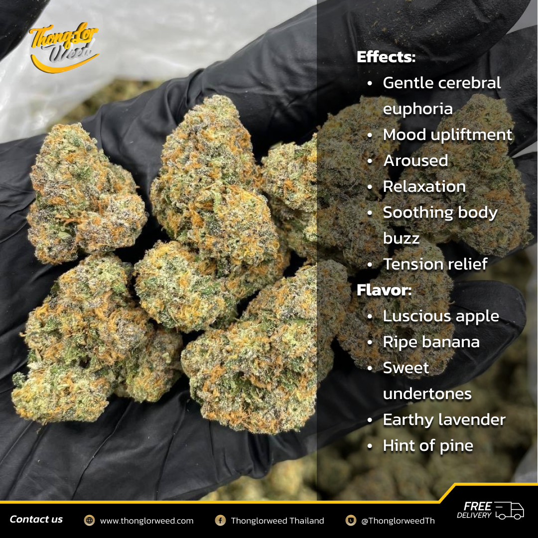 ดอกกัญชา Baja Blast กัญชาพรีเมี่ยม พร้อมใช้งาน ส่งทั่วประเทศ ดอกกัญชา Baja Blast กัญชาพรีเมี่ยม พร้อมใช้งาน ส่งทั่วประเทศ