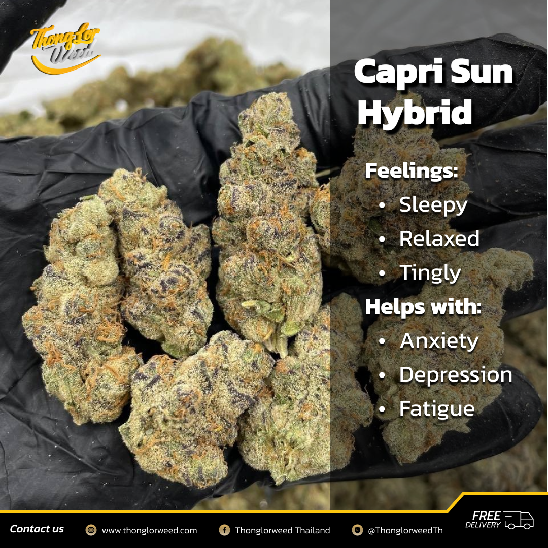 ขาย! ดอกกัญชา Capri Sun Hybrid สั่งง่าย ส่งเร็ว ขาย! ดอกกัญชา Capri Sun Hybrid สั่งง่าย ส่งเร็ว