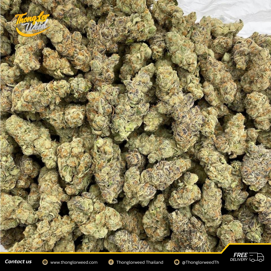 ขาย! ดอกกัญชา Capri Sun Hybrid สั่งง่าย ส่งเร็ว ขาย! ดอกกัญชา Capri Sun Hybrid สั่งง่าย ส่งเร็ว