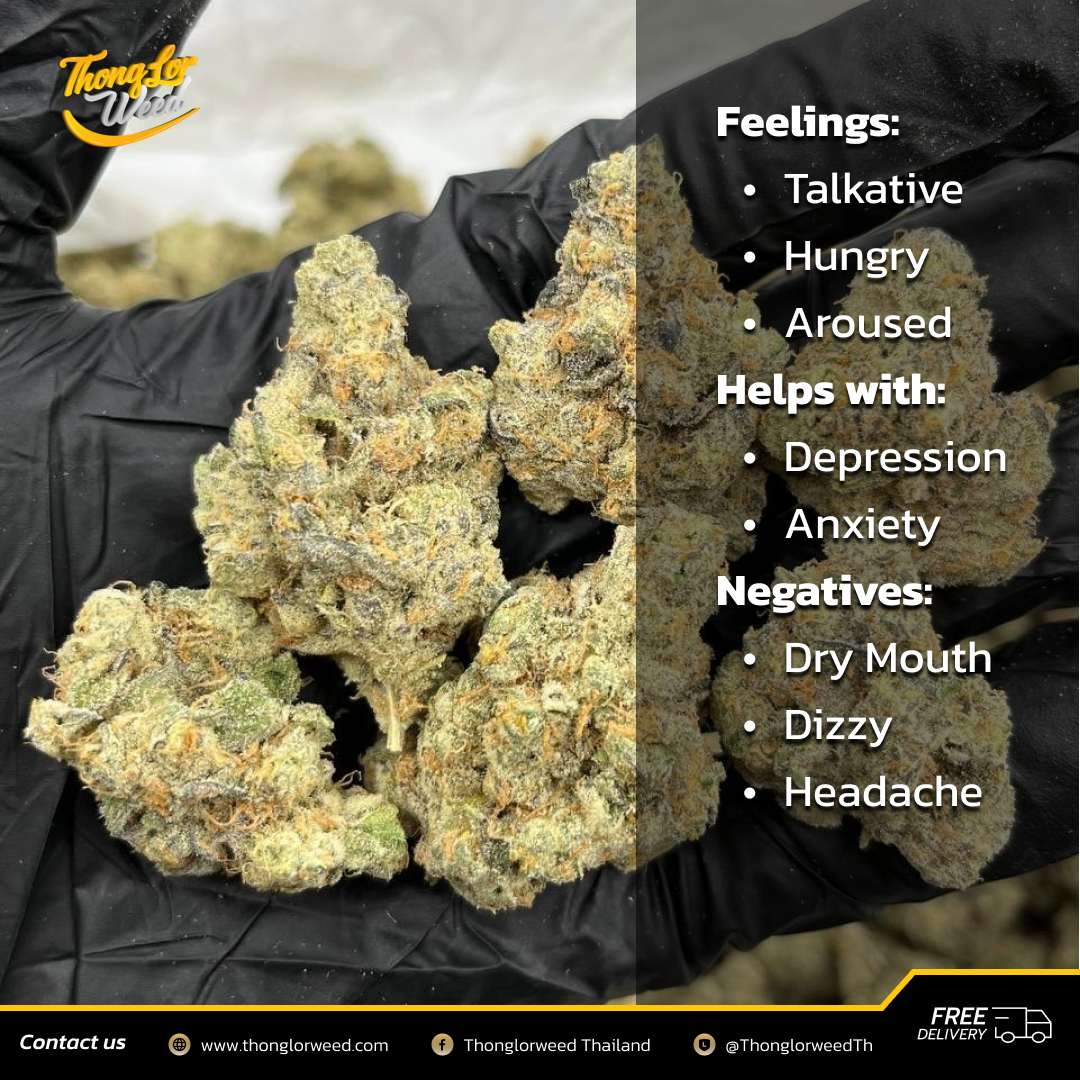 ดอกกัญชา Carbon Fiber Crasher กัญชาพร้อมส่ง ซื้อเลย! ดอกกัญชา Carbon Fiber Crasher กัญชาพร้อมส่ง ซื้อเลย!