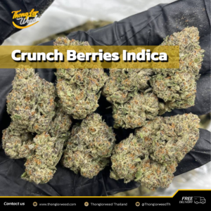 Crunch Berries Indica 