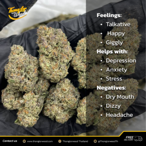 Crunch Berries Indica 