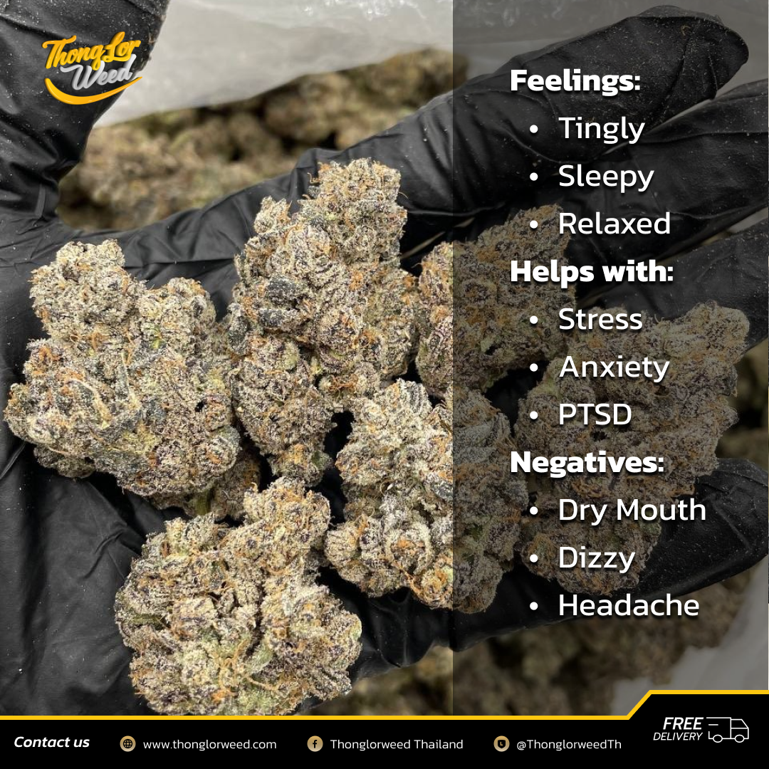 ดอกกัญชา Frosted Gummy Bear ดอกอัดแน่น ฟินทุกสูบ ดอกกัญชา Frosted Gummy Bear ดอกอัดแน่น ฟินทุกสูบ