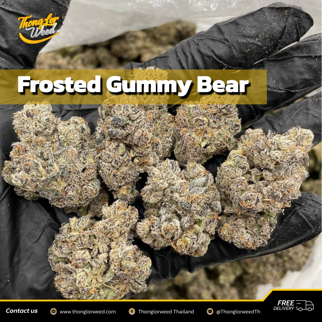 Frosted Gummy Bear