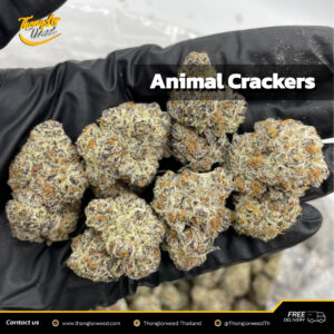 Animal Crackers weed