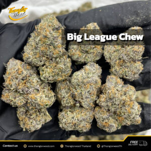 Big League Chew