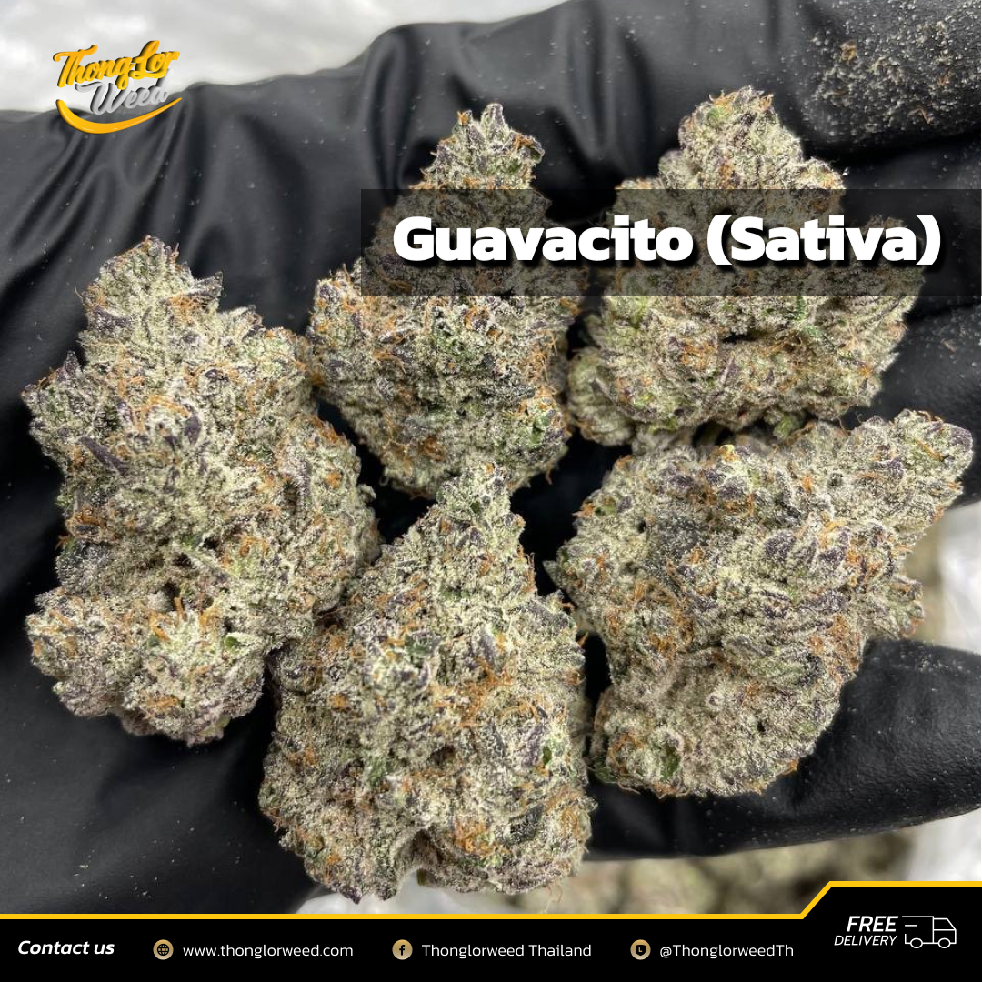 Guavacito