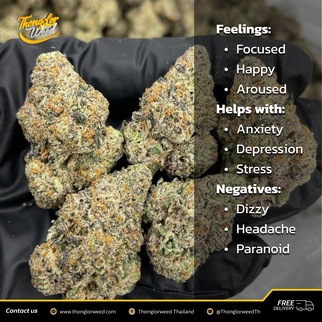 ขายดอกกัญชา สายพันธุ์ Sour Peach Ring ดอกอัดแน่น กลิ่นหอมละมุน ขายดอกกัญชา สายพันธุ์ Sour Peach Ring ดอกอัดแน่น กลิ่นหอมละมุน