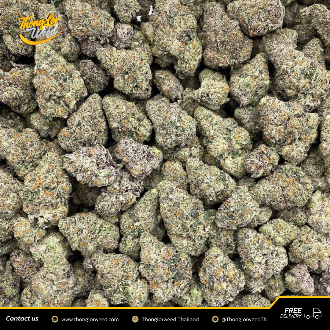 ขายดอกกัญชา สายพันธุ์ Sour Peach Ring ดอกอัดแน่น กลิ่นหอมละมุน ขายดอกกัญชา สายพันธุ์ Sour Peach Ring ดอกอัดแน่น กลิ่นหอมละมุน