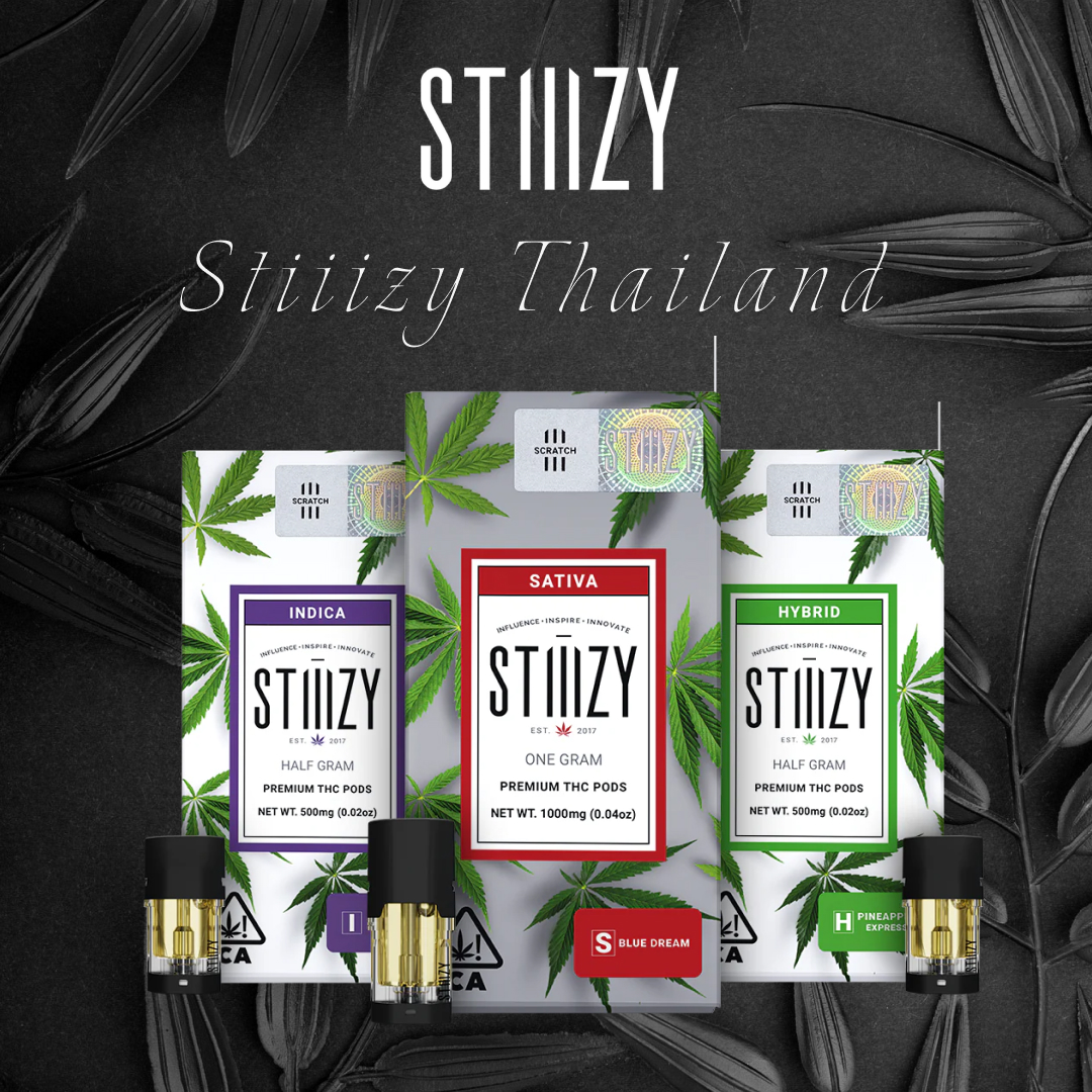 พอต stiiizy thailand