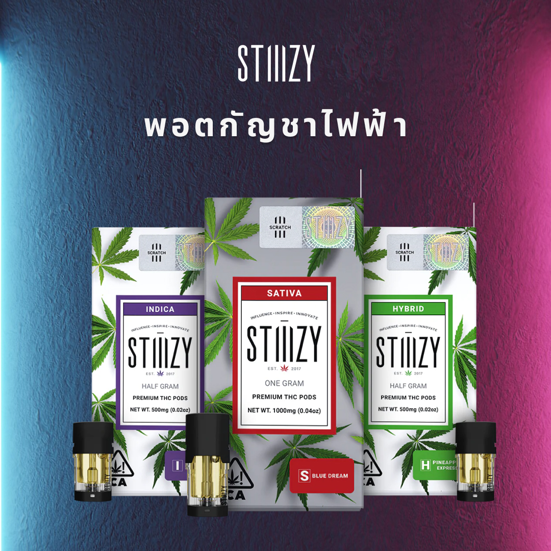 Stiiizy พอตกัญชาไฟฟ้า